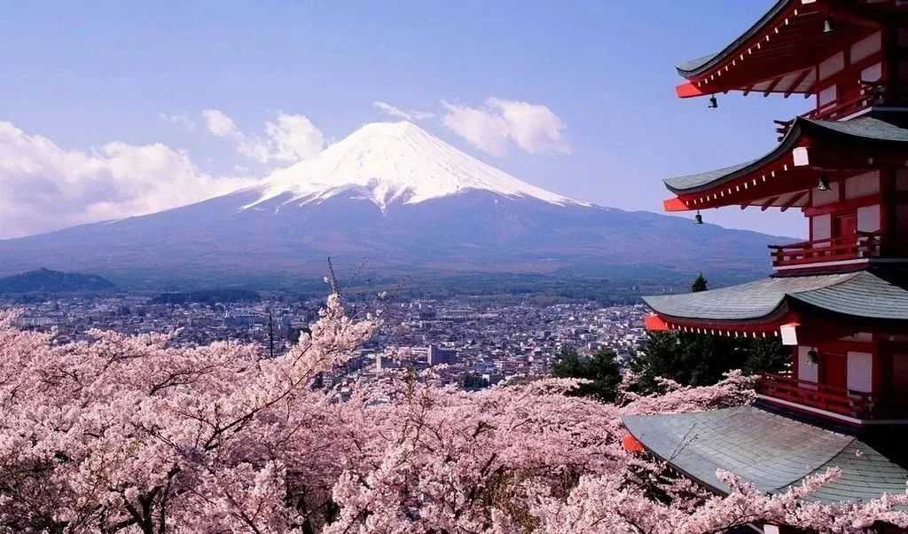 Japan’s Healthcare Achievements Set Global Benchmarks
